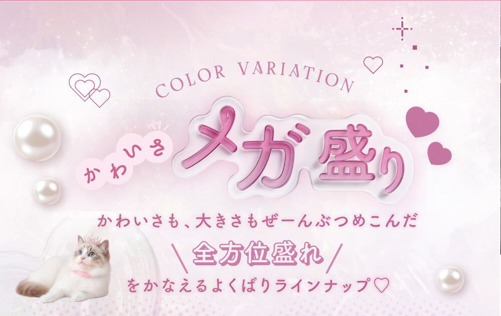メガ盛り