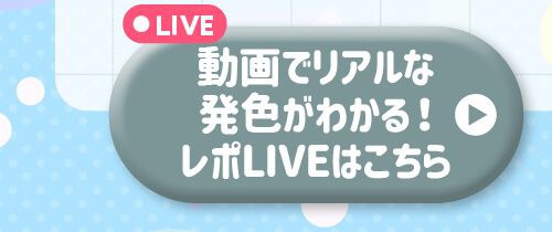 レポライブ