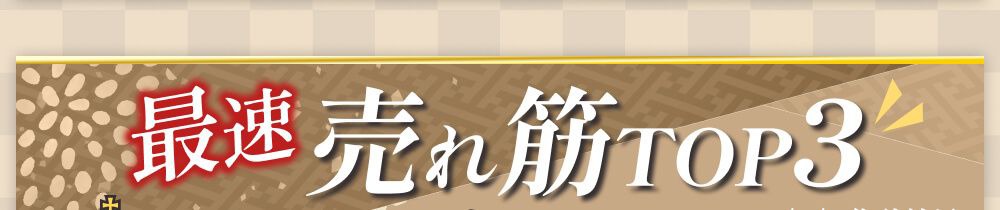 売れ筋ランキング