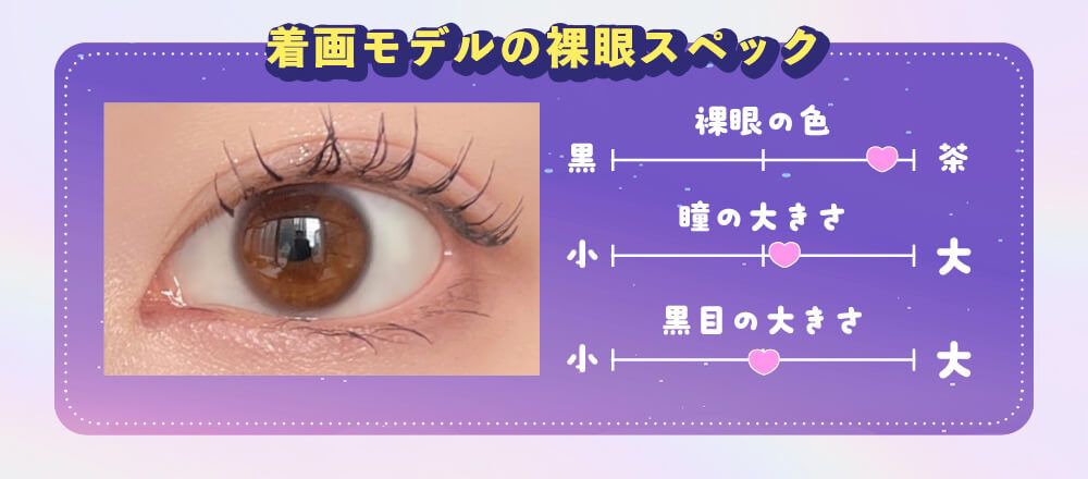 モデルスペック