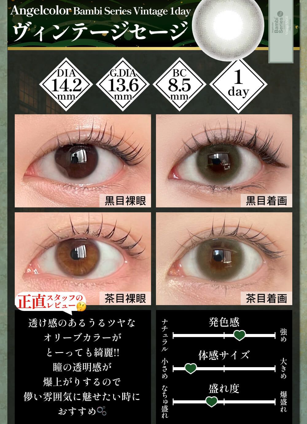 ヴィンテージセージ