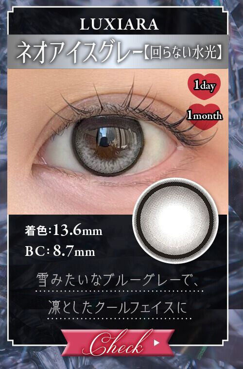 ネオアイスグレー