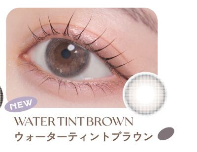 ウォーターティントブラウン