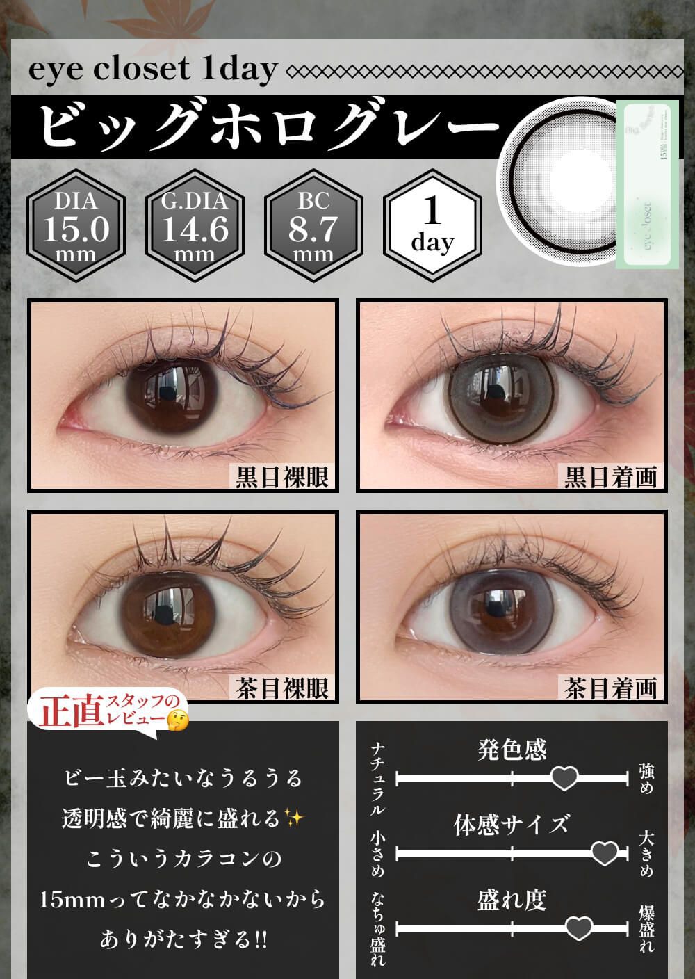 ビッグホログレー