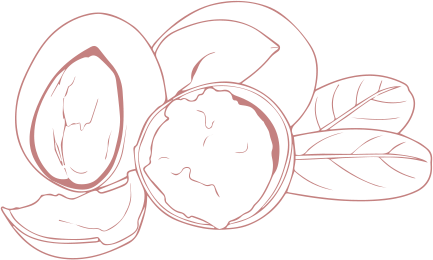 rainymell mewmeltgloss