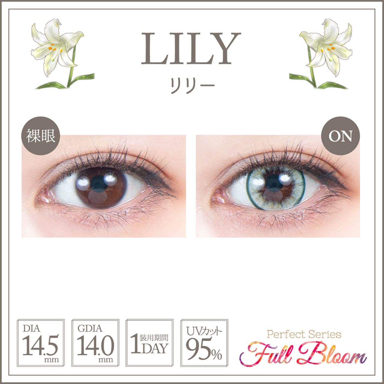 パーフェクトシリーズ フルブルームワンデー（Perfect Series