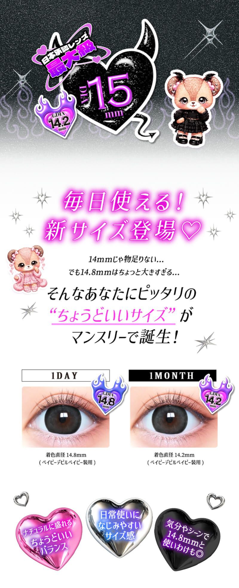 毎日使える新サイズ登場