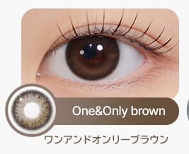 ワンアンドオンリーブラウン