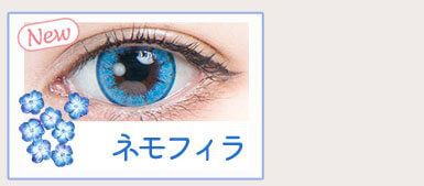 ネモフィラ