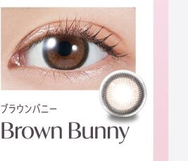 ブラウンバニー