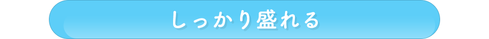 しっかり盛れる