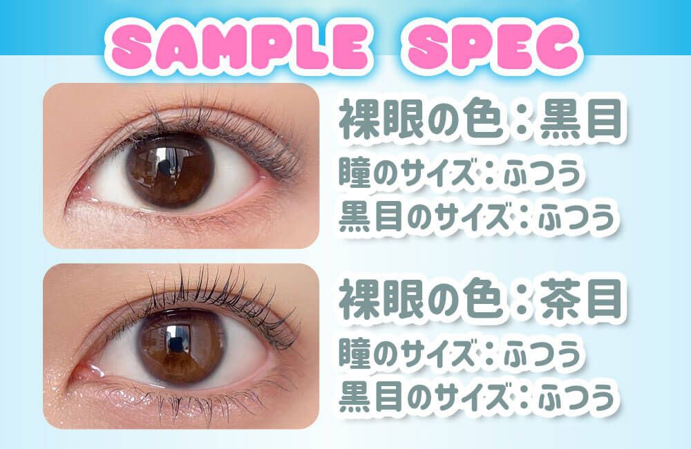 サンプルスペック