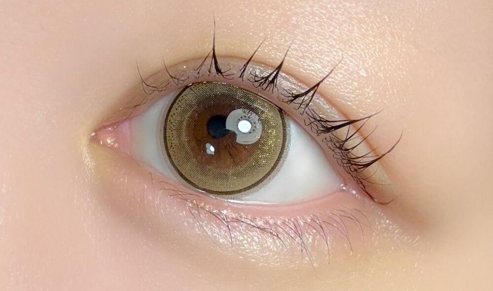 ホロライト着画