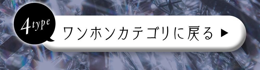 ワンホンカテゴリに戻る