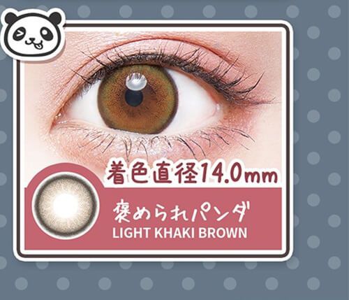 褒められパンダ/Light Khaki Brown