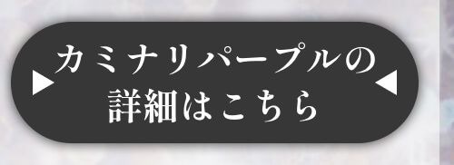 詳細はこちら
