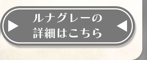 詳細はこちら