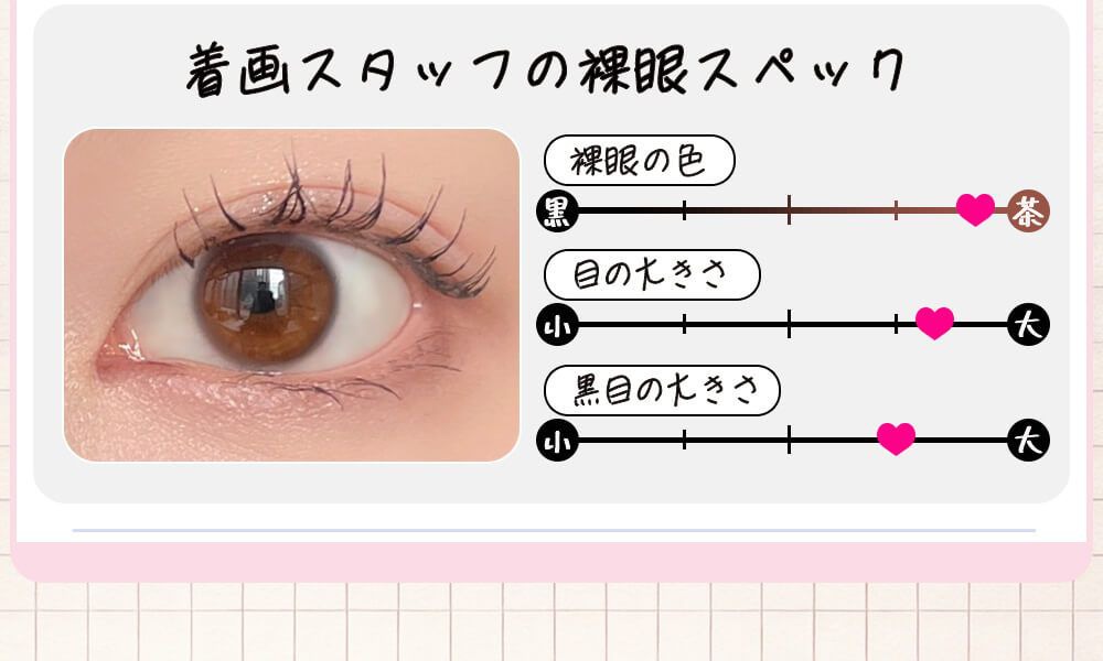 着画スタッフの裸眼スペック