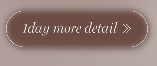 ホロブラウンワンデー