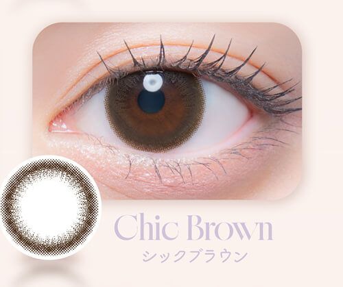 シックブラウン