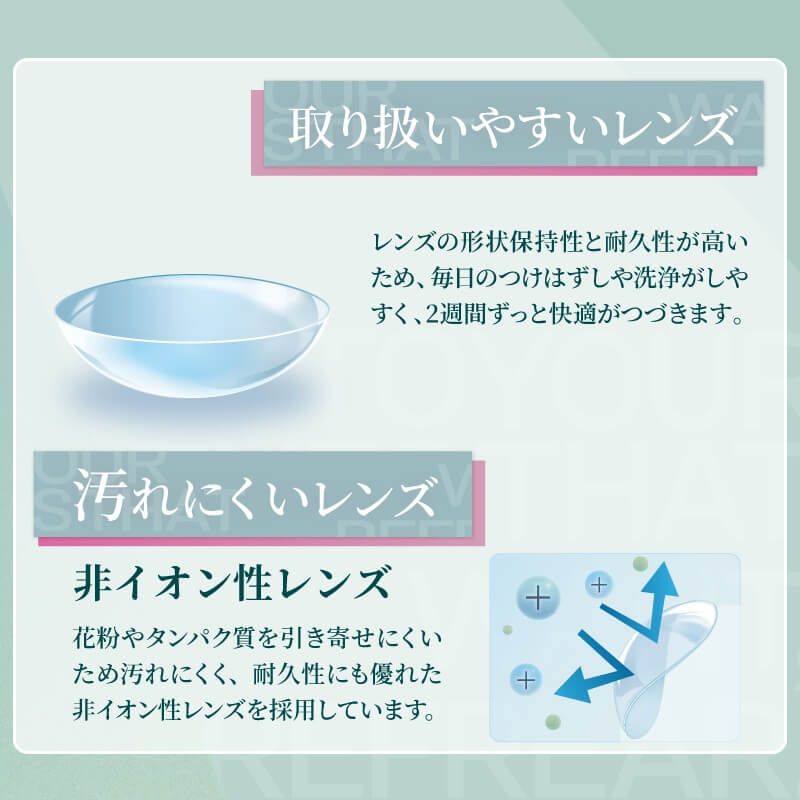 2ウィークリフレア UV（2-week Refrear UV） クリア