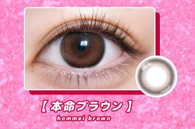本命ブラウン