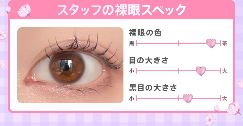 着画スタッフの裸眼スペック