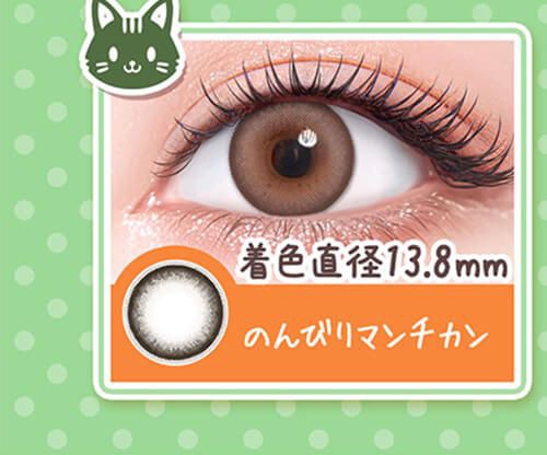 のんびりマンチカン