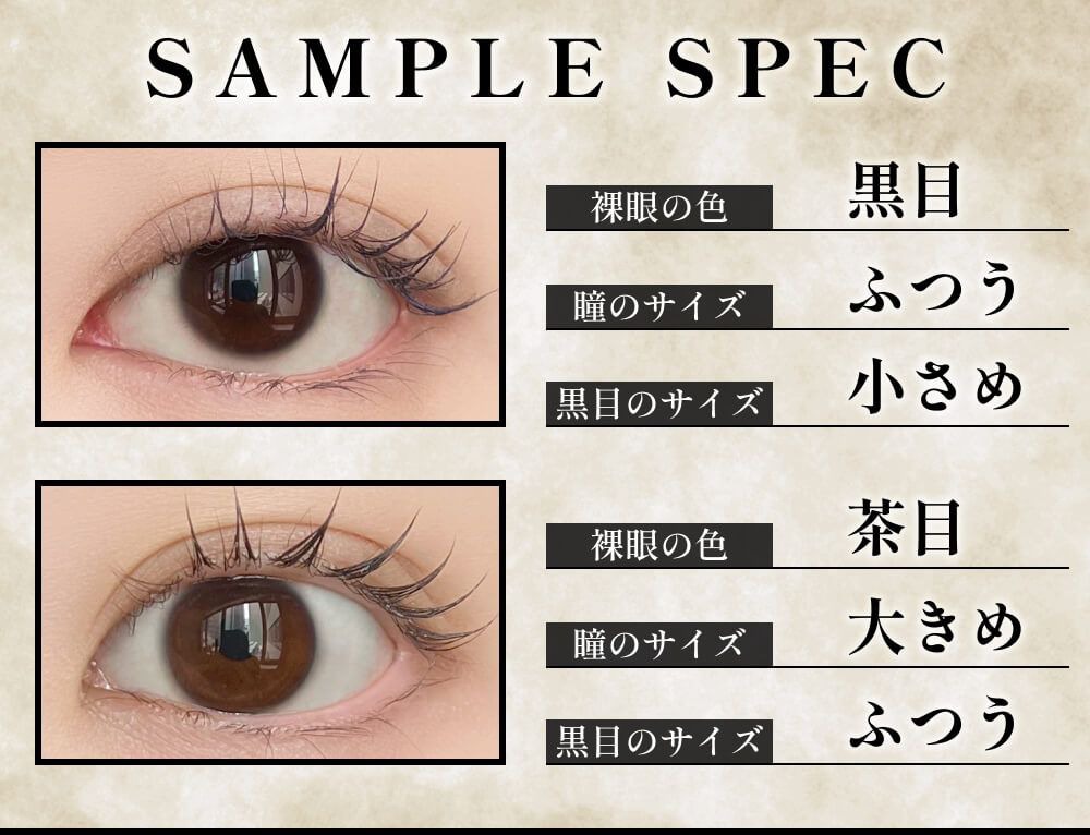 サンプルスペック