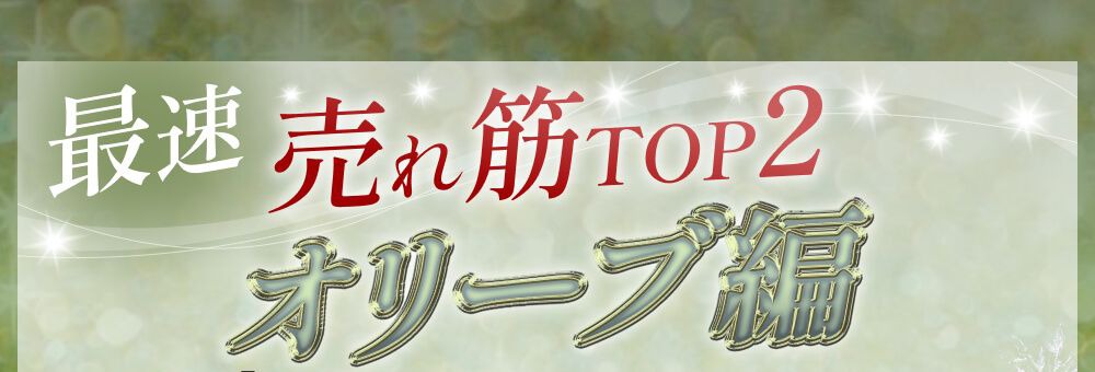 売れ筋ランキング