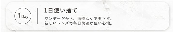 1日使い捨て
