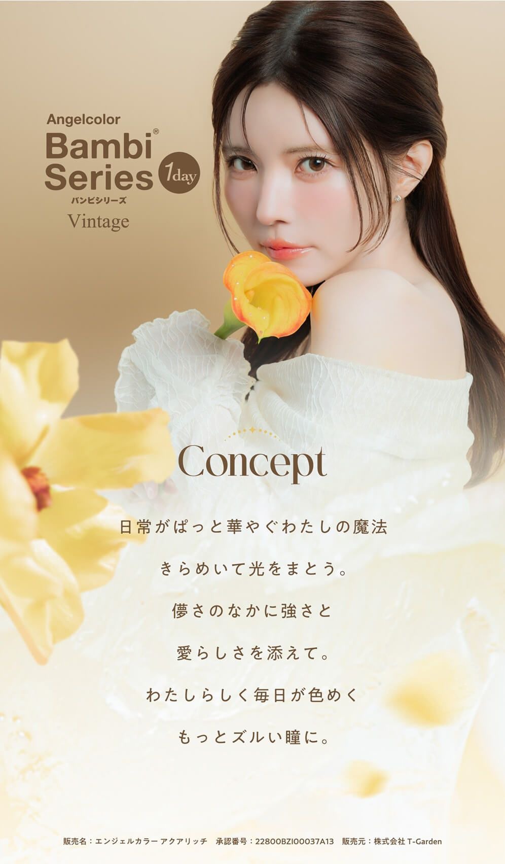コンセプト