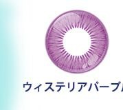 ウィステリアパープル