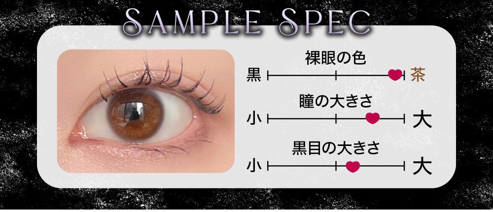 着画スタッフの裸眼スペック