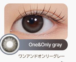ワンアンドオンリーグレー