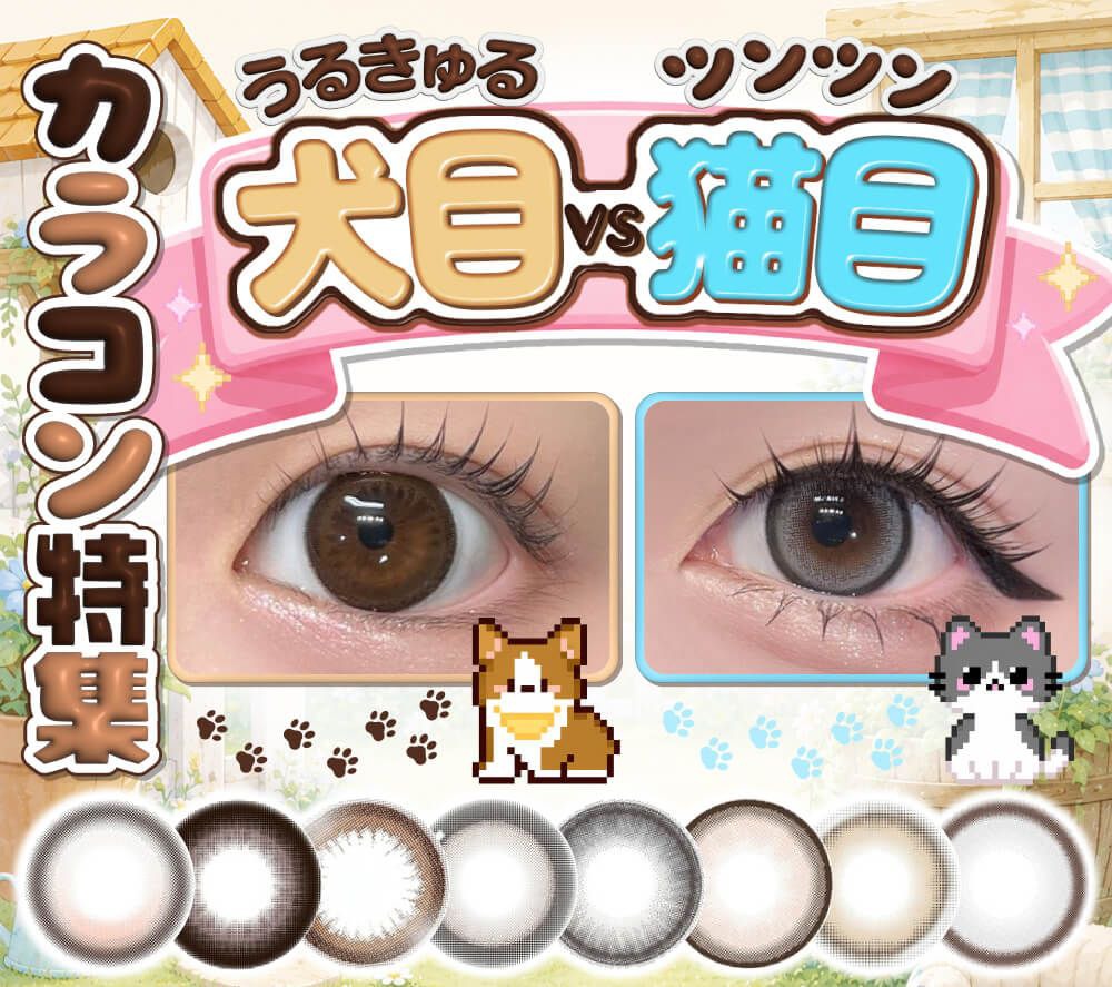 犬目vs猫目カラコン特集