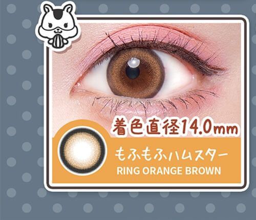 もふもふハムスター