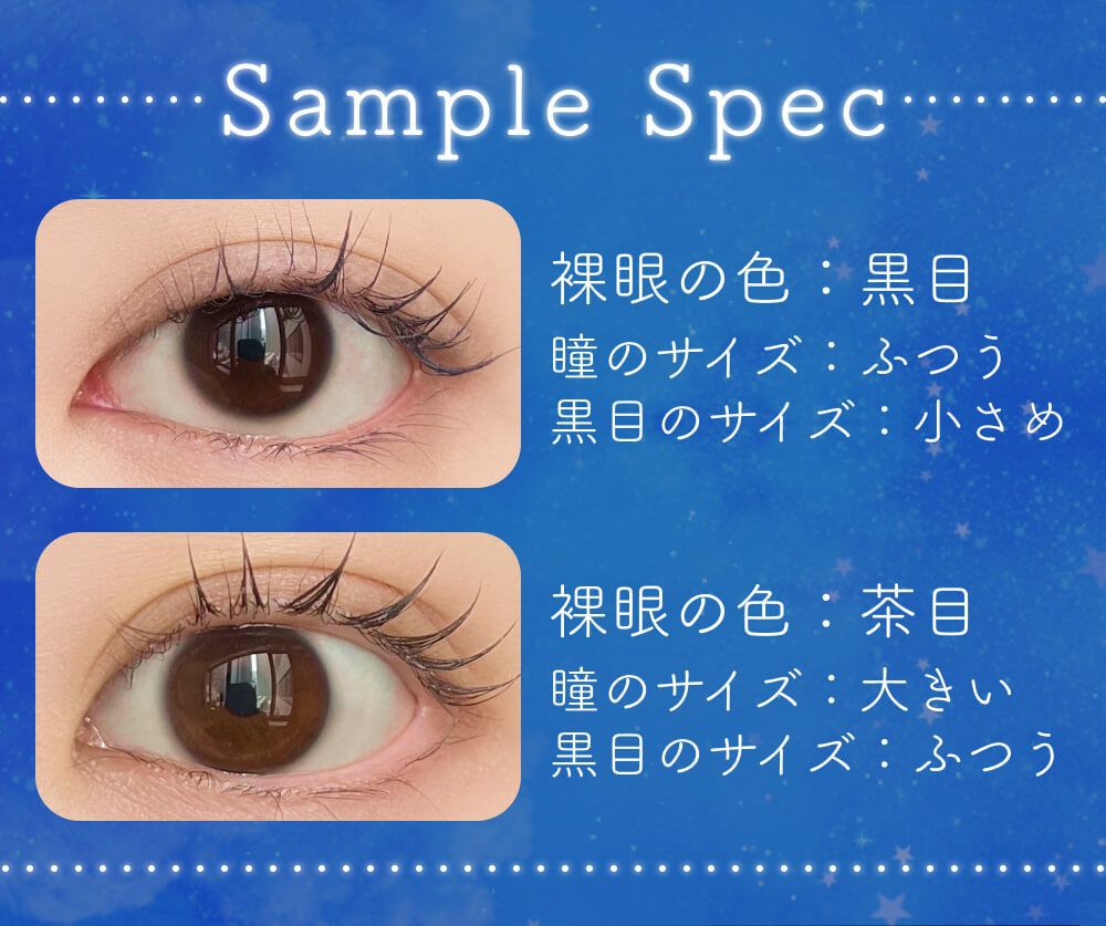 サンプルスペック