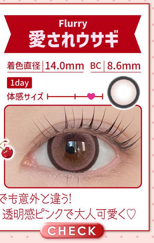 愛されウサギ
