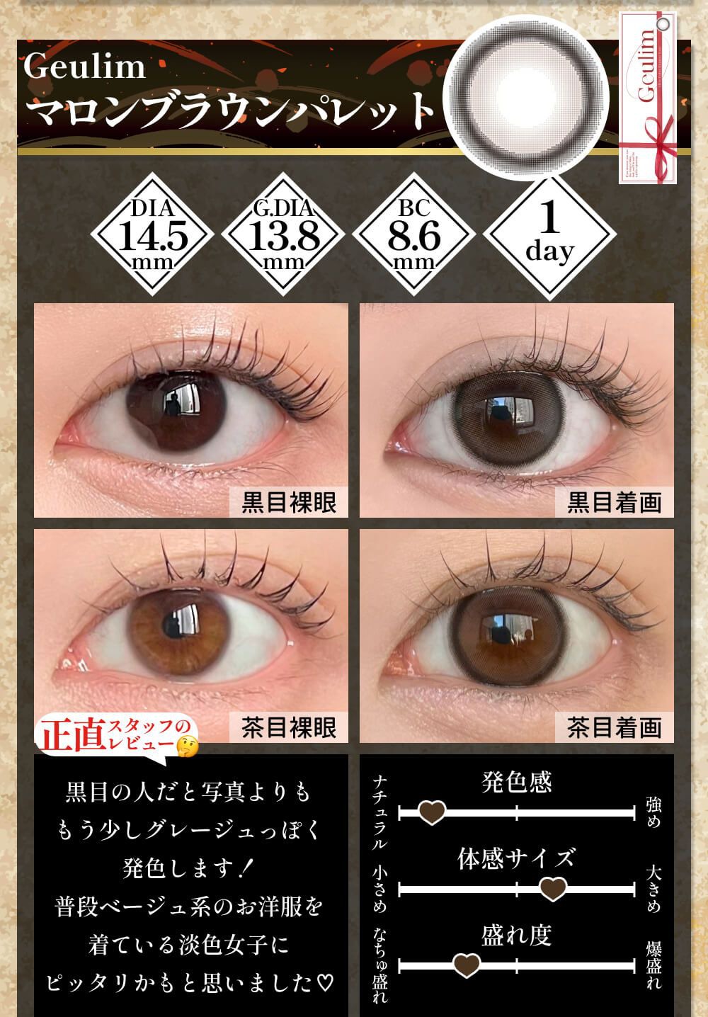 マロンブラウンパレット