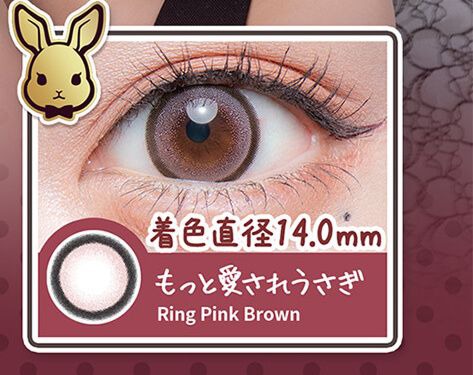 もっと愛されうさぎ