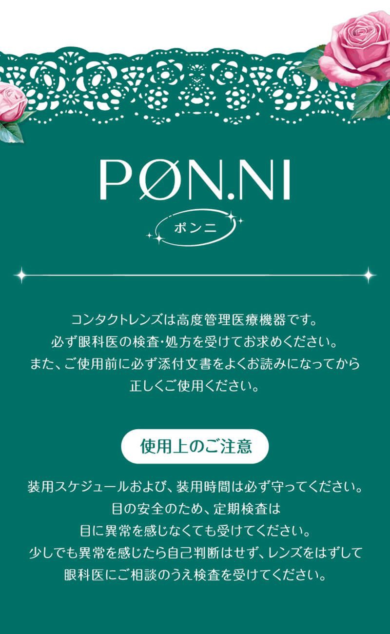 ポンニ