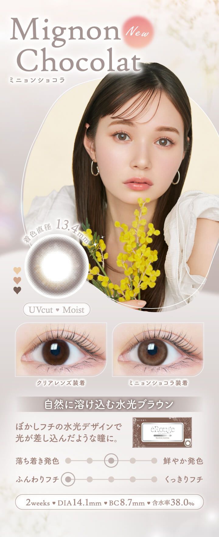 ミニョンショコラ