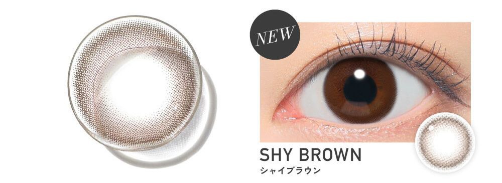 シャイブラウン