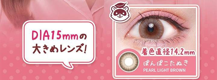 ぽんぽこたぬき