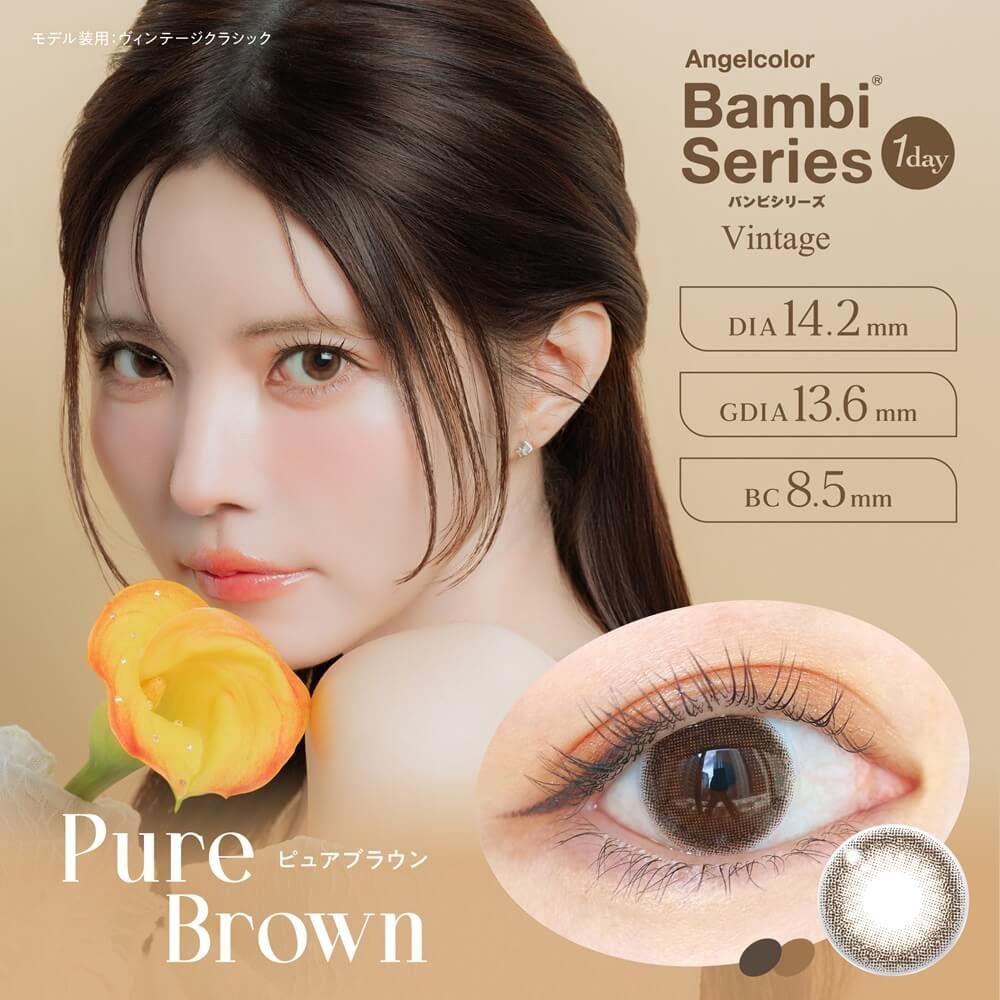 BAMBI 2枚 【ブラック LベージュL】 エンジェルカラー バンビシリーズ ヴィンテージ（Angelcolor