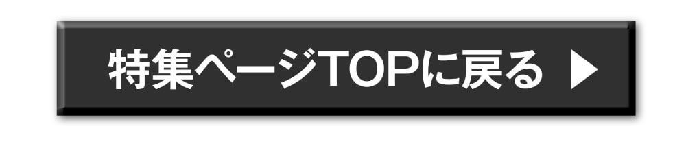 特集TOPに戻る