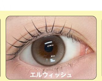 エルウィッシュ