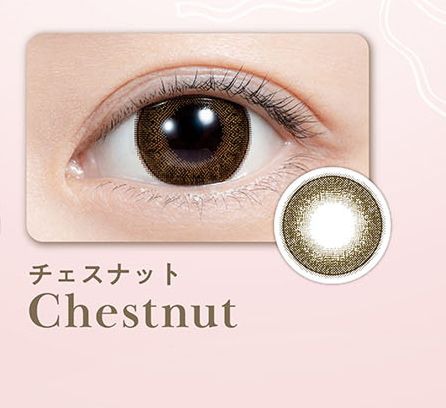 チェスナット