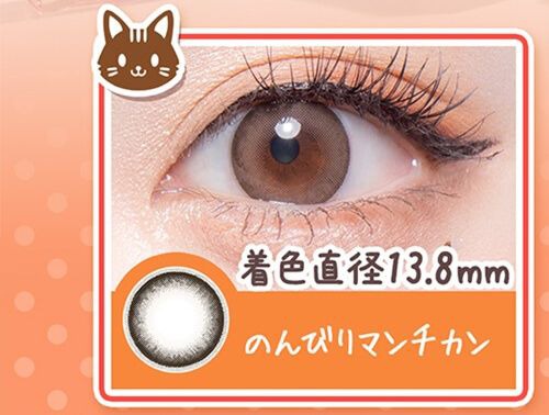 のんびりマンチカン